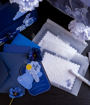 upload1
